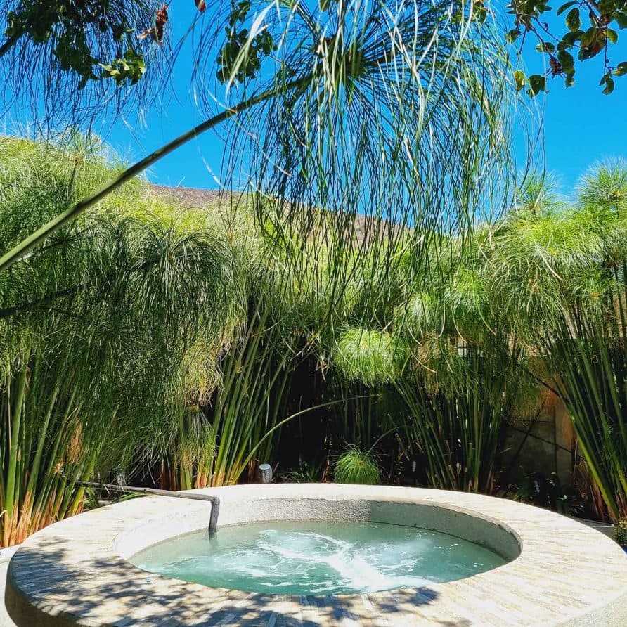 Cabaña Premium — ambiente