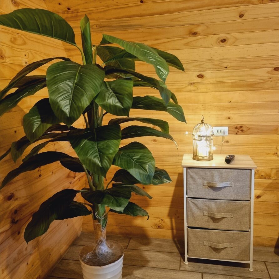 Tiny House en Olmué — espacio privado en la naturaleza